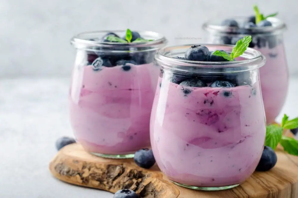 homemade blueberry yogurt recipe