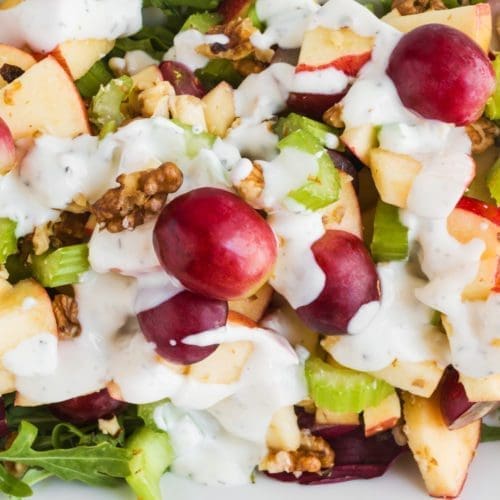 Low Calorie Waldorf Salad Recipe