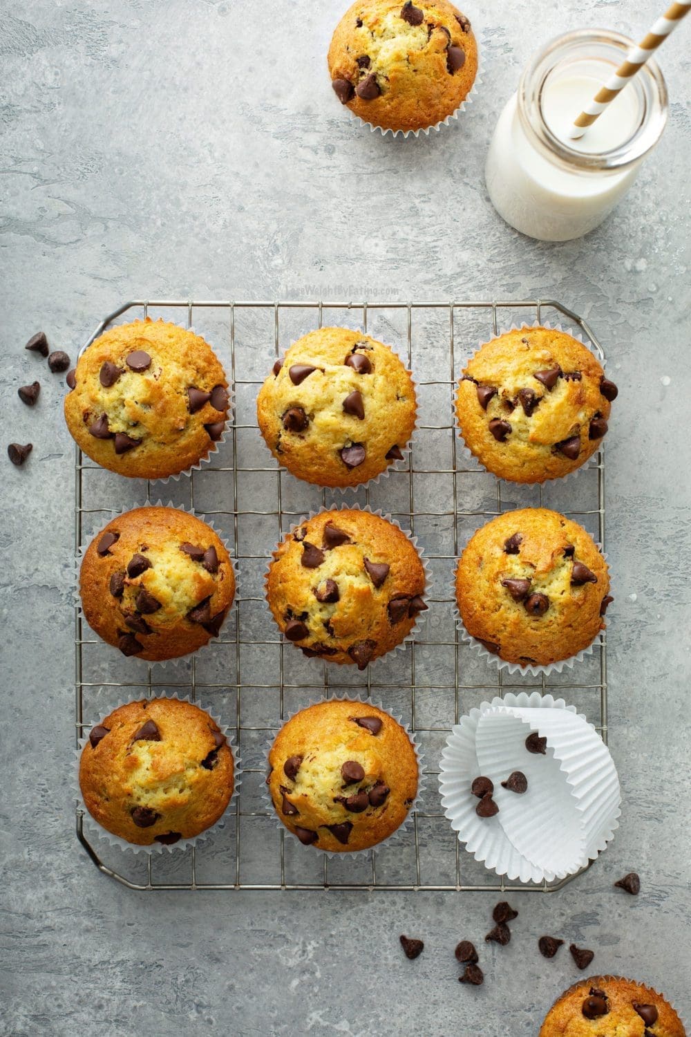 The Best Chocolate Chip Muffin Recipe