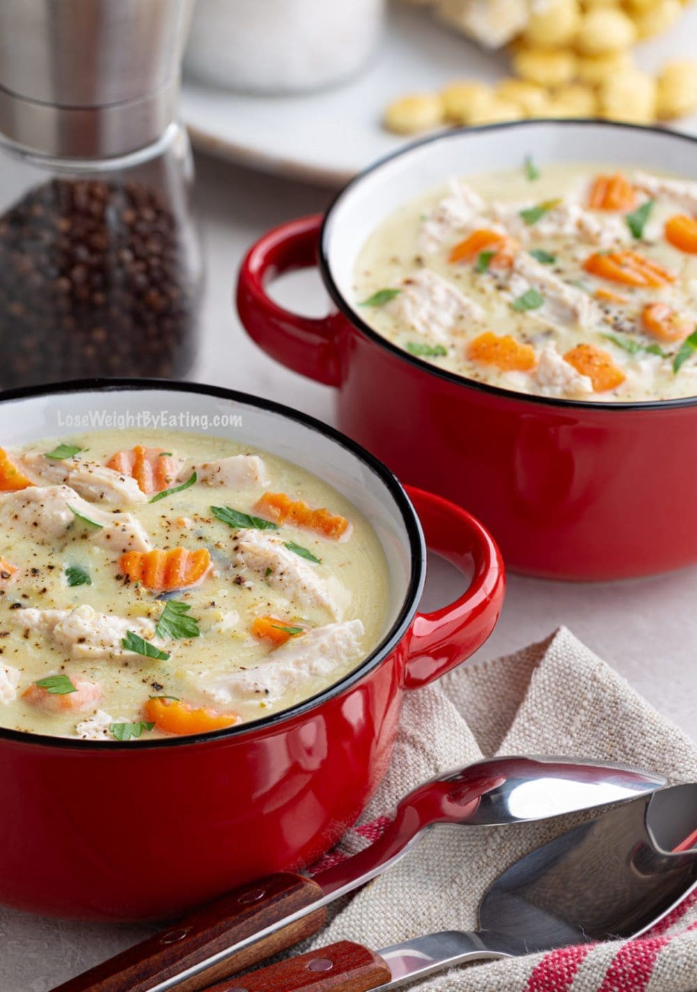 Creamy Chicken Stew in Crockpot