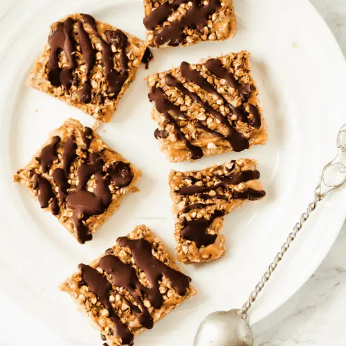 salted dark chocolate protein bars