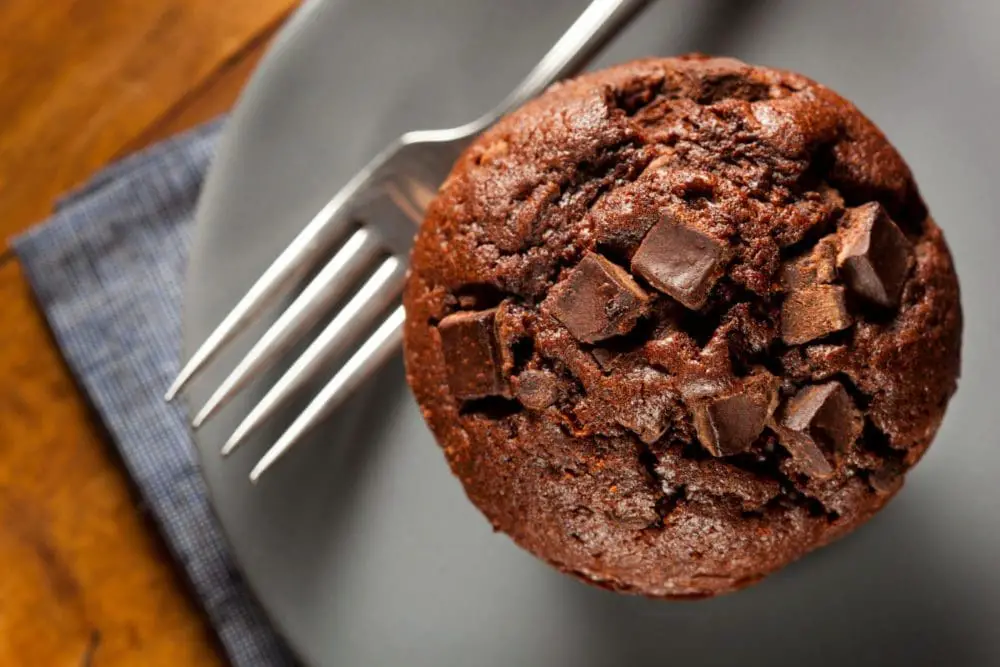 Chocolate Protein Muffins