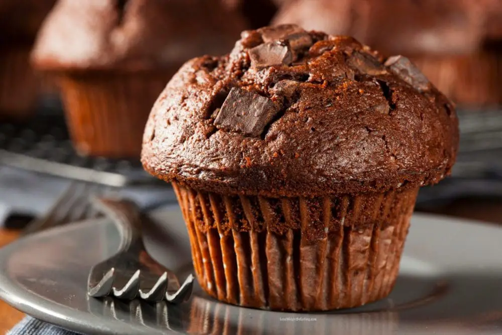 Chocolate Protein Muffins