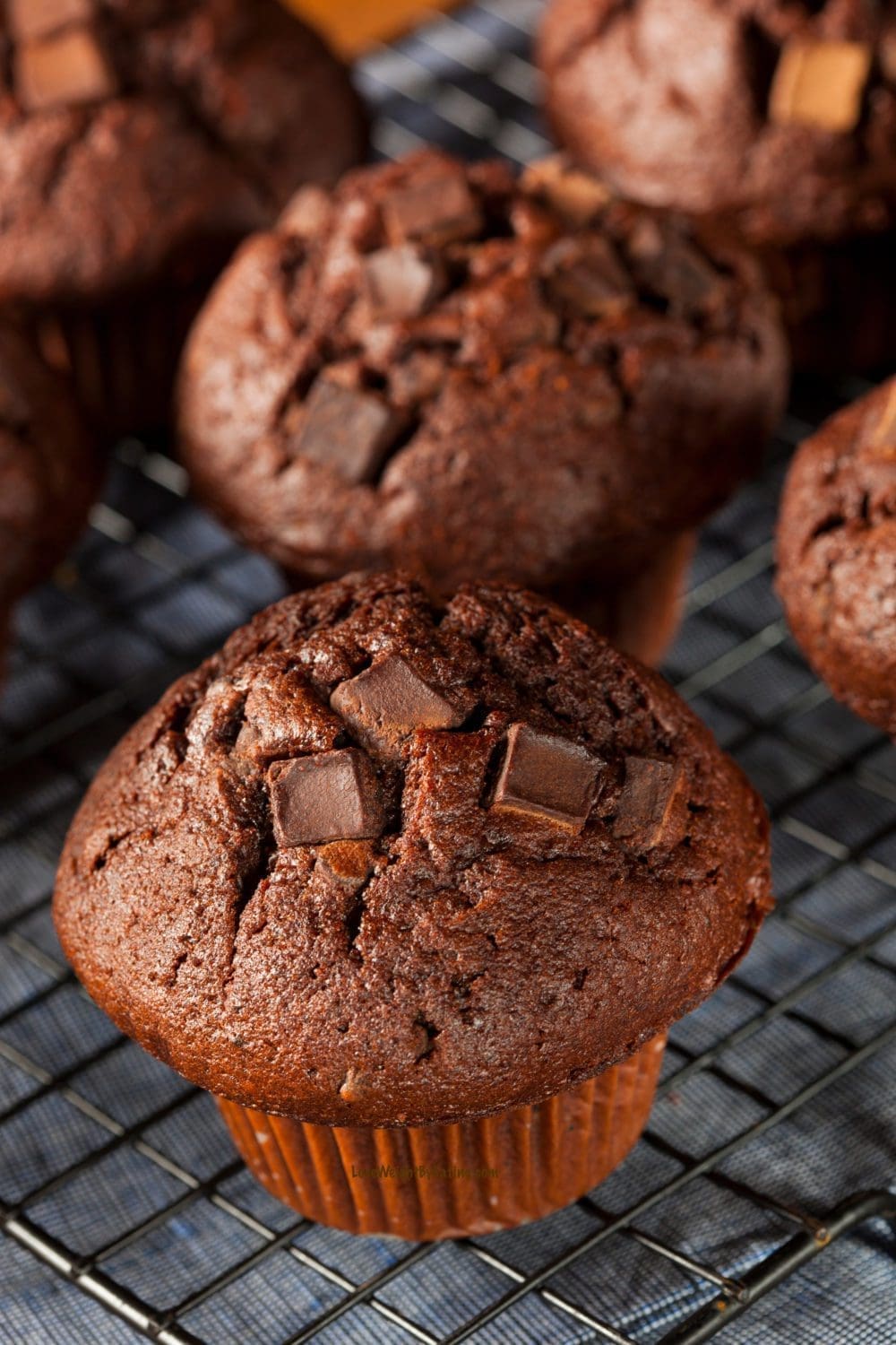 Chocolate Protein Muffins