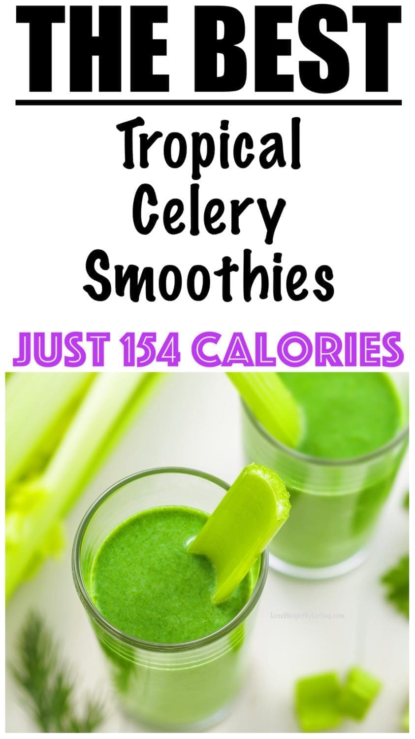 Celery Smoothie Recipe