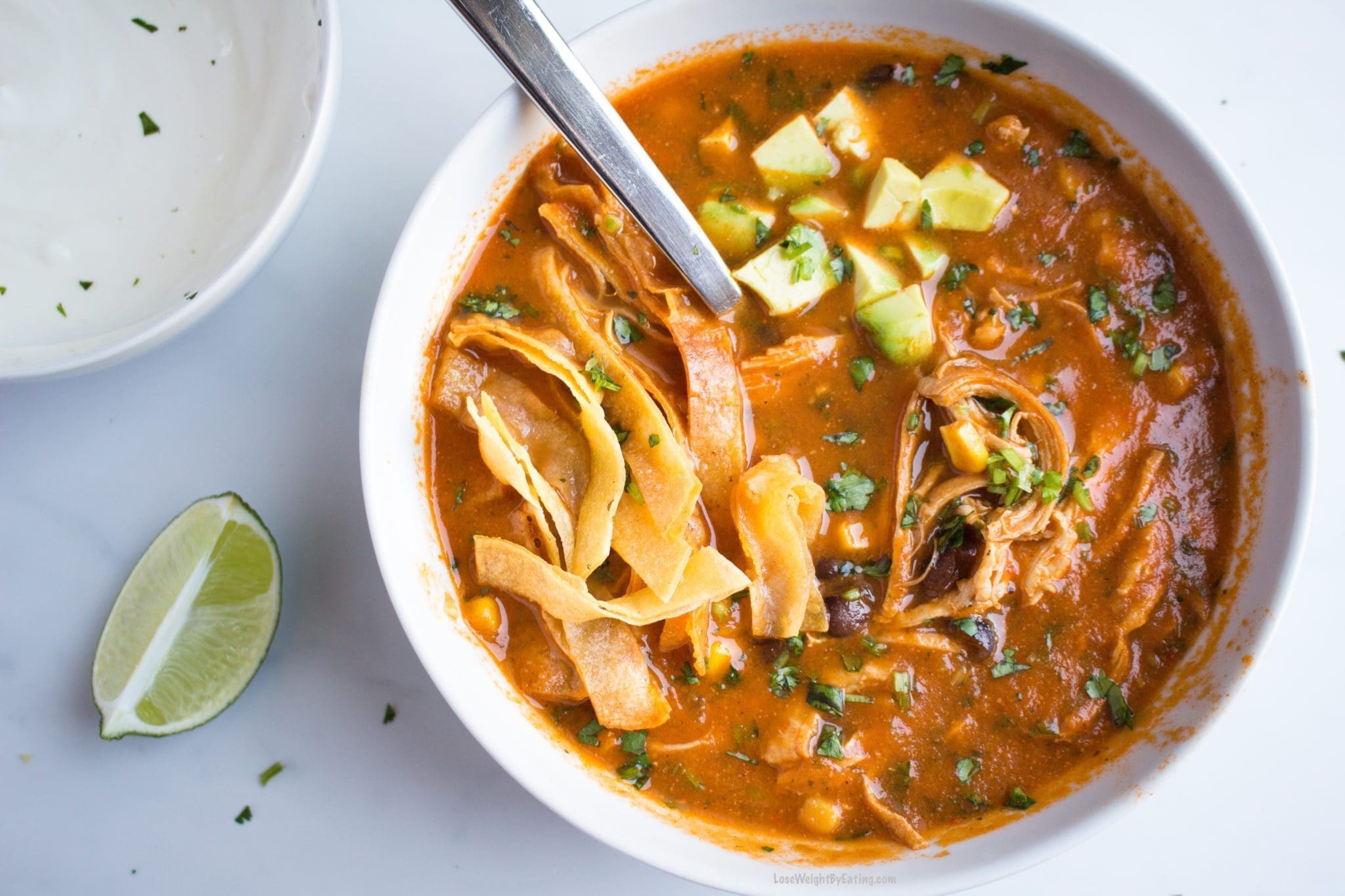 20 BEST Low Calorie Chicken Recipes for Weight Loss
