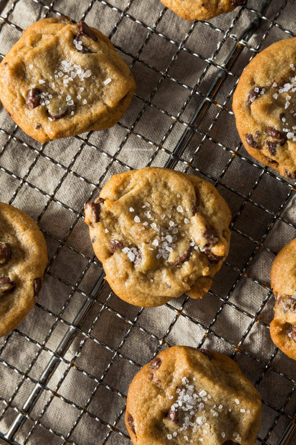 Low Calorie Chocolate Chip Cookies