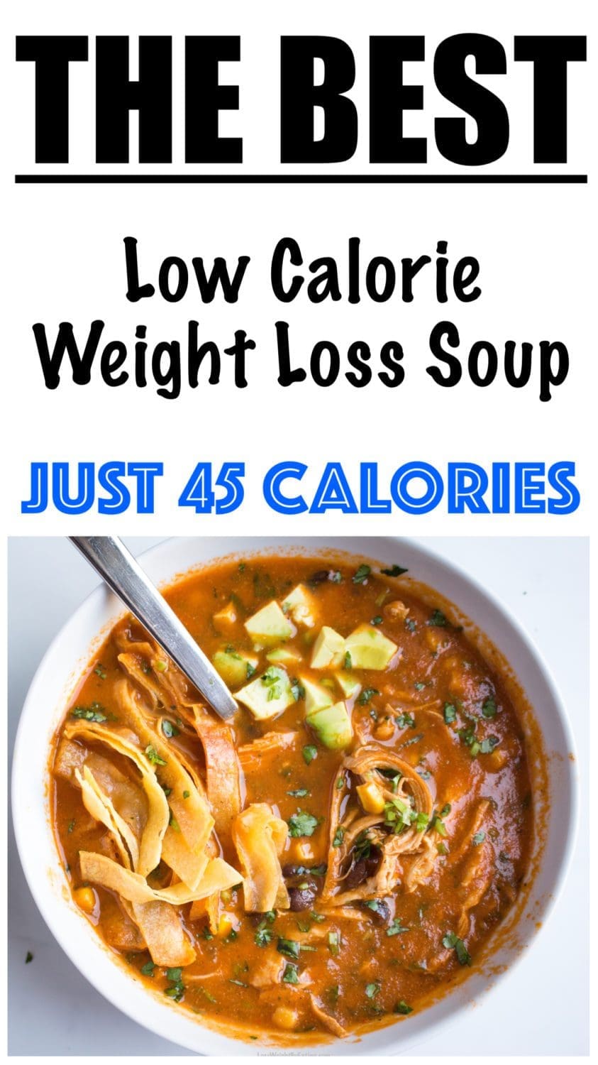 Low Calorie Chicken Soup for Weight Loss