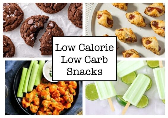 Low Calorie Low Carb Snacks for Weight Loss