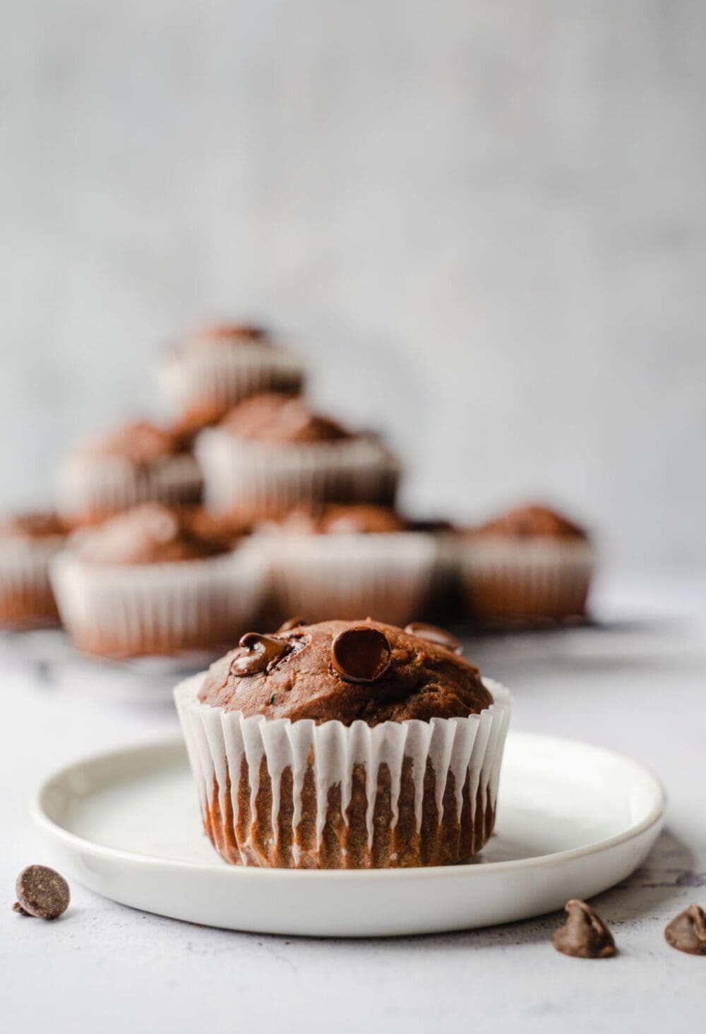 Low Calorie Zucchini Muffins