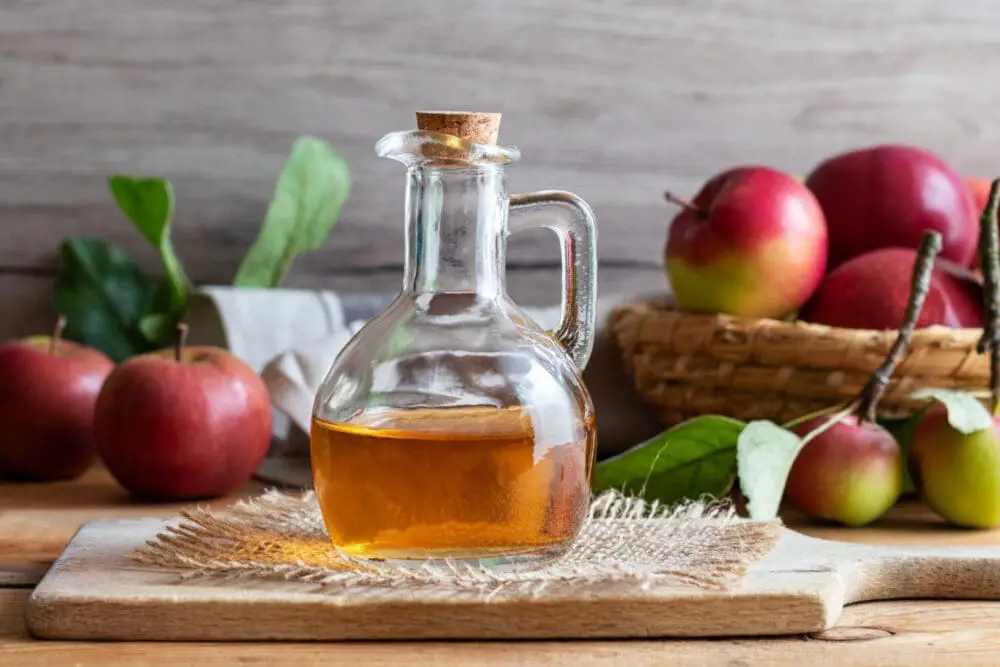 10 Ways Apple Cider Vinegar Increases Weight Loss