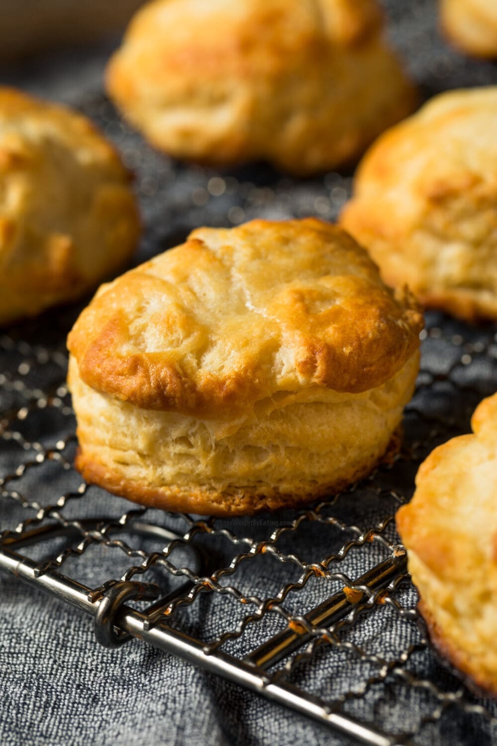 Low Calorie Biscuits