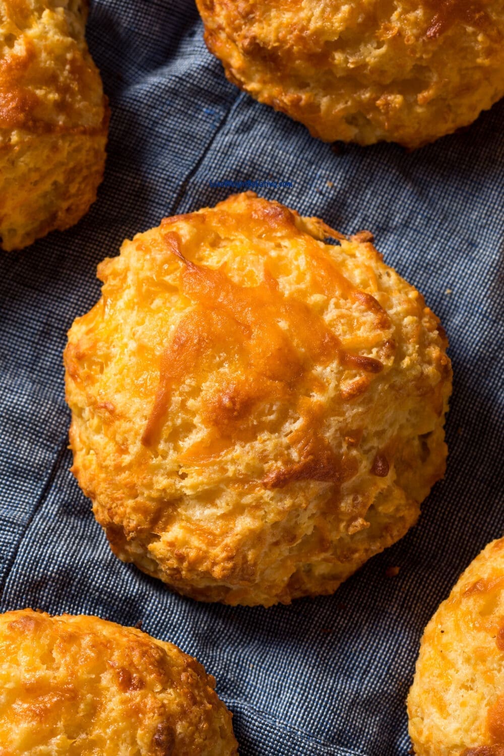 Low Calorie Cheddar Biscuits