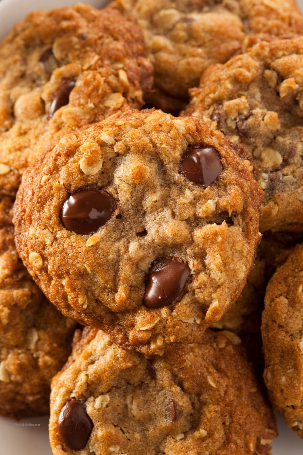 Low Calorie Chocolate Chip Oatmeal Cookies