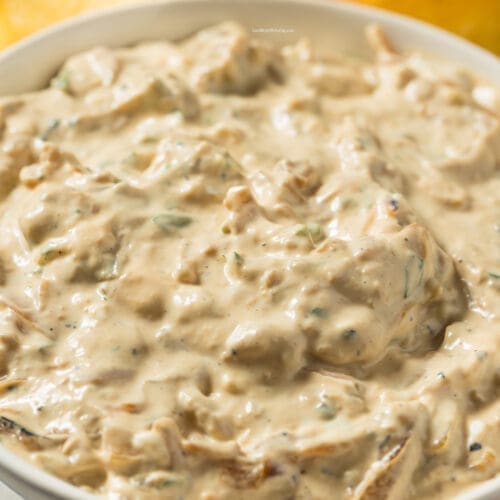 Low Calorie Chip Dip