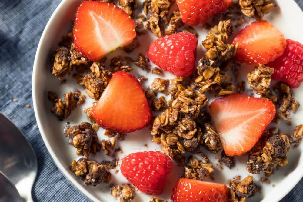 Low Calorie High Protein Chocolate Granola