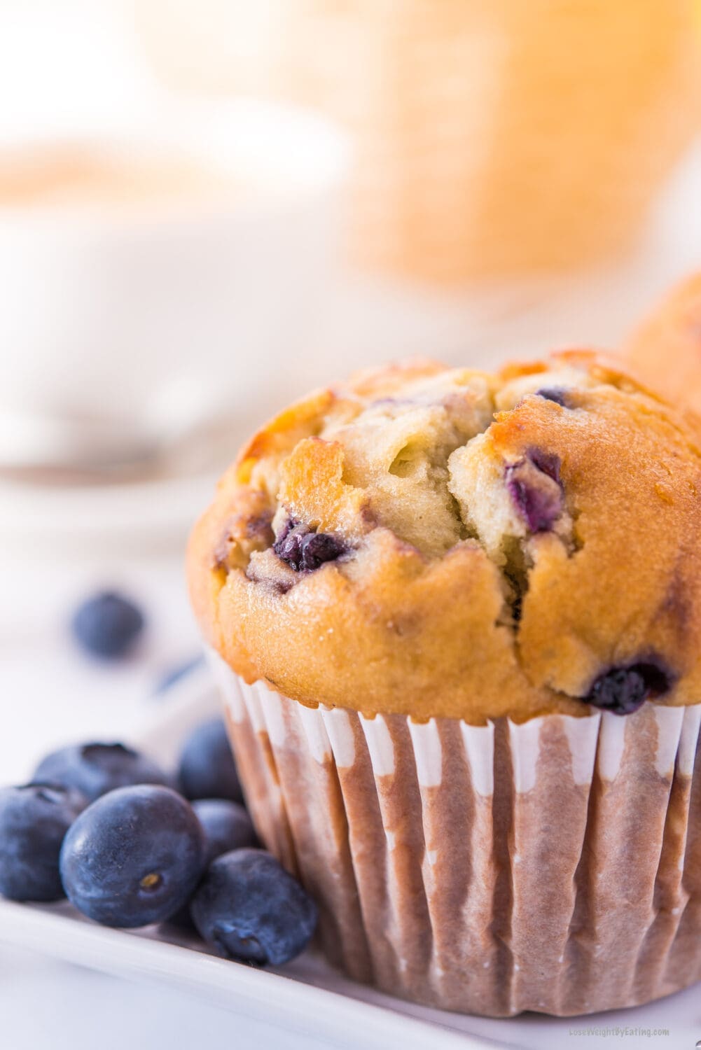 Low Calorie High Protein Blueberry Muffins