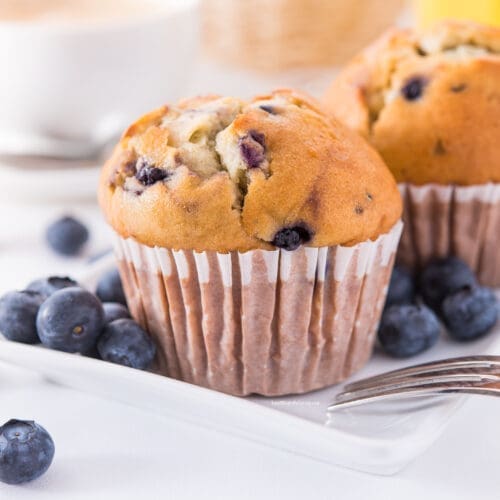 Low Calorie High Protein Blueberry Muffins