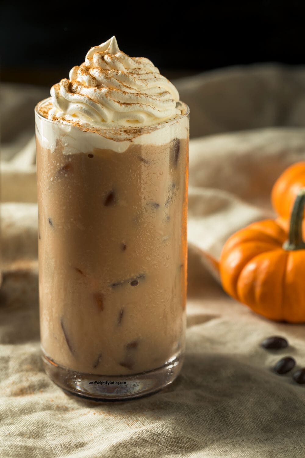 Low Calorie Iced Pumpkin Latte