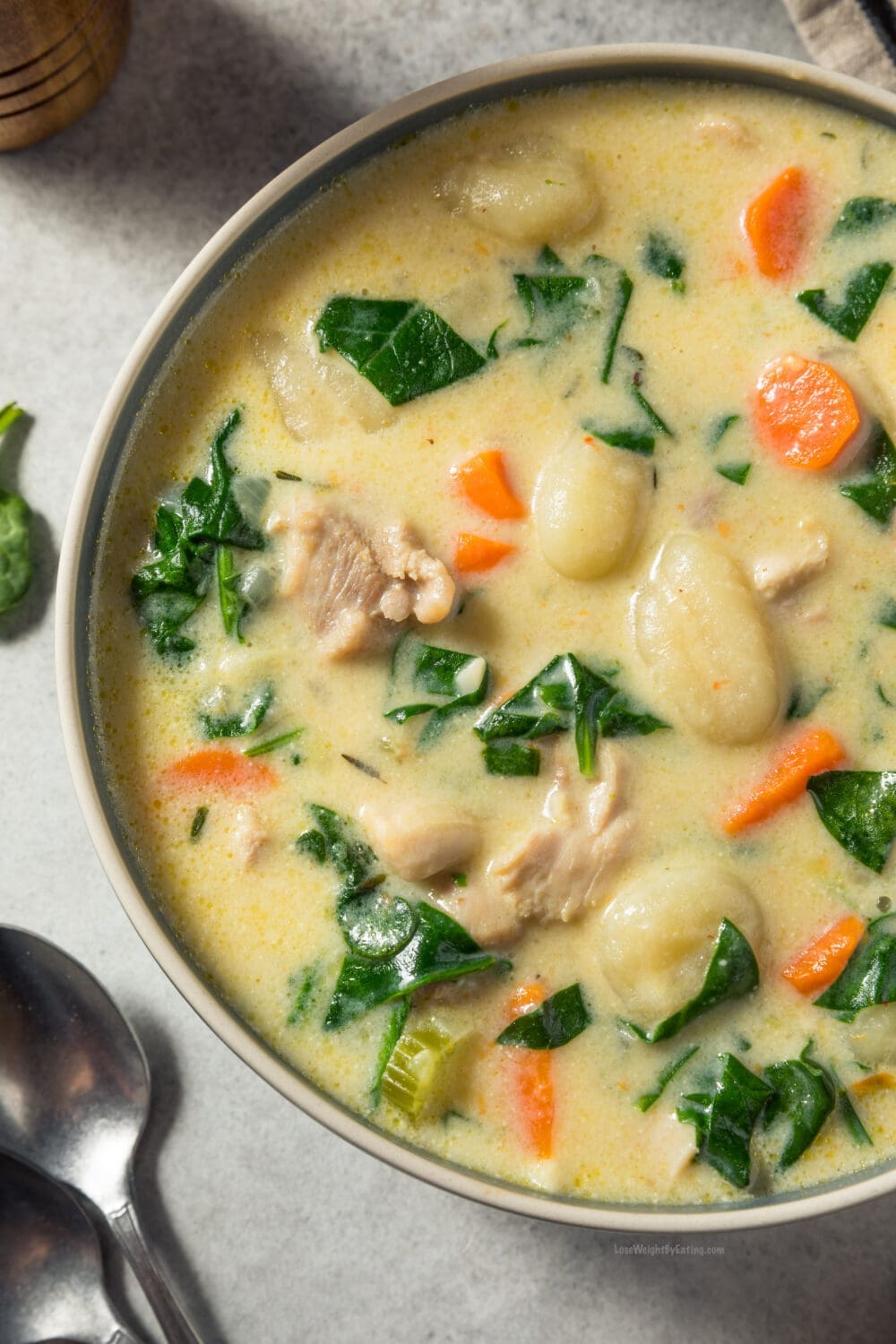 healthy chicken gnocchi soup