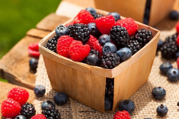 10 Fat Burning Berries for Weight Loss