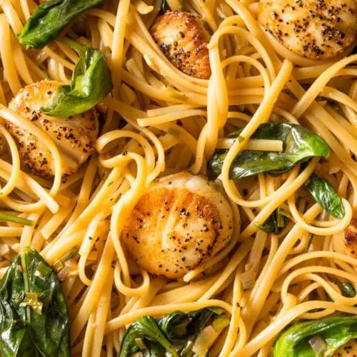 Low Calorie High Protein Lemon Scallop Pasta