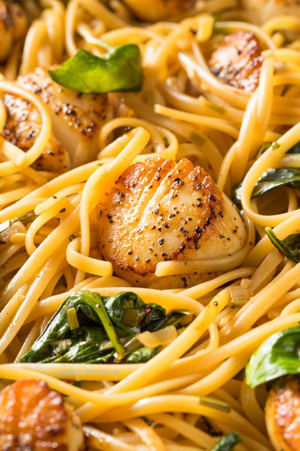 Low Calorie High Protein Lemon Scallop Pasta