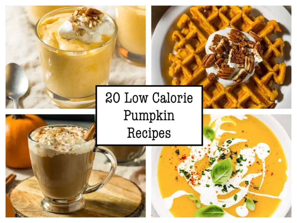 20 Low Calorie Pumpkin Recipes