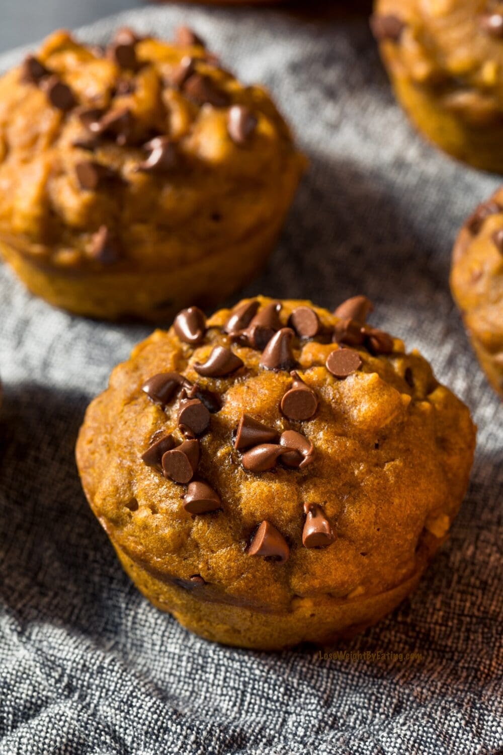 Low Calorie Chocolate Chip Pumpkin Muffins