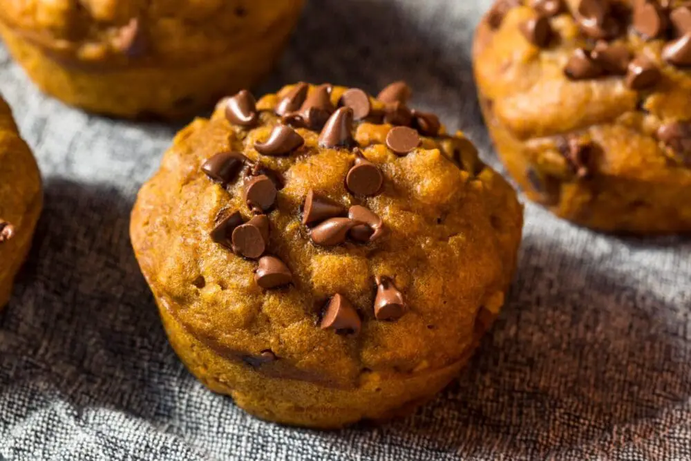 Low Calorie Chocolate Chip Pumpkin Muffins 