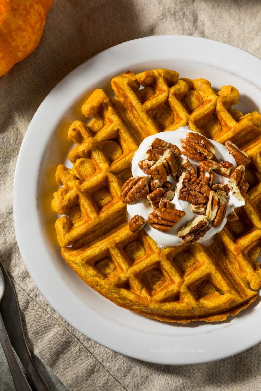 Low Calorie Pumpkin Waffles