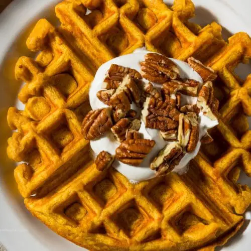 Low Calorie Pumpkin Waffles