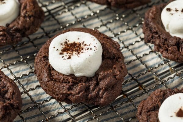 Low Calorie Hot Cocoa Cookies