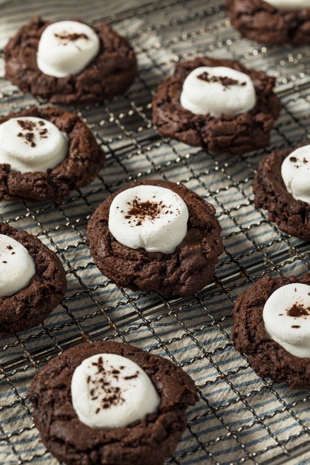 Low Calorie Hot Cocoa Cookies