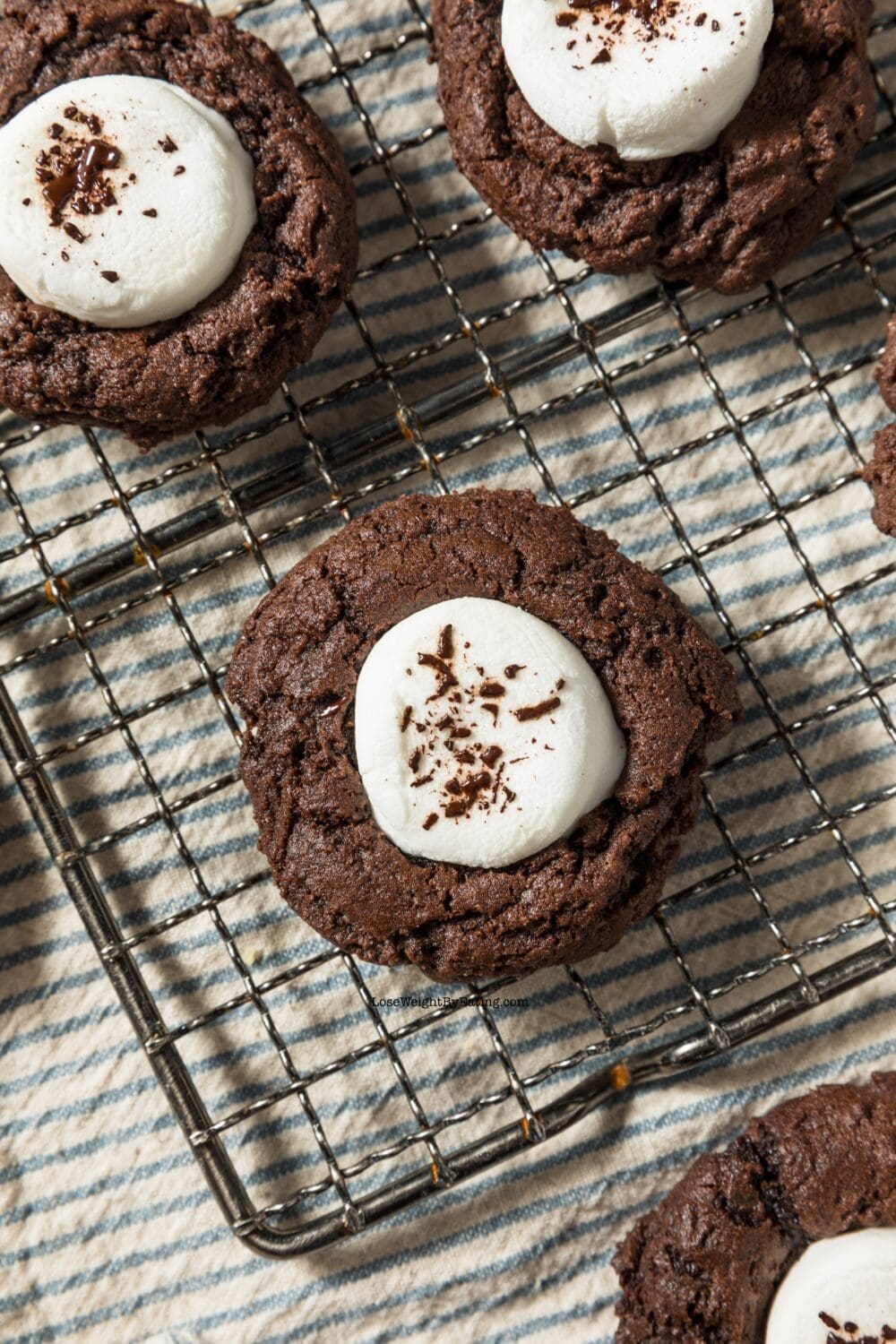 Low Calorie Hot Cocoa Cookies